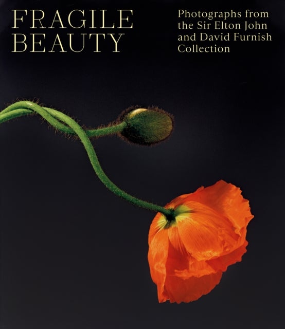 Fragile Beauty - Photographs from the Sir Elton John and David Furnish Collection - The Official V&A Exhibition Book
