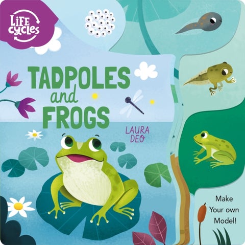Tadpoles and Frogs - Make Your Own Model!