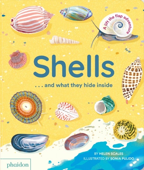 Shells... and what they hide inside - A Lift-the-Flap Adventure