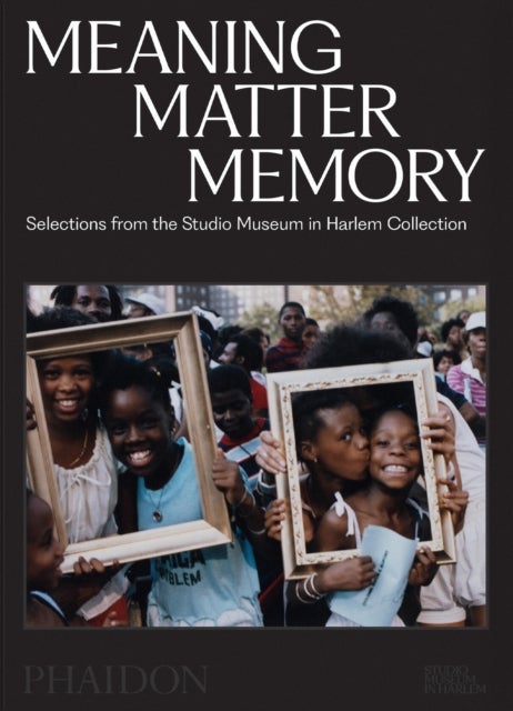 Meaning Matter Memory - Selections from the Studio Museum in Harlem Collection