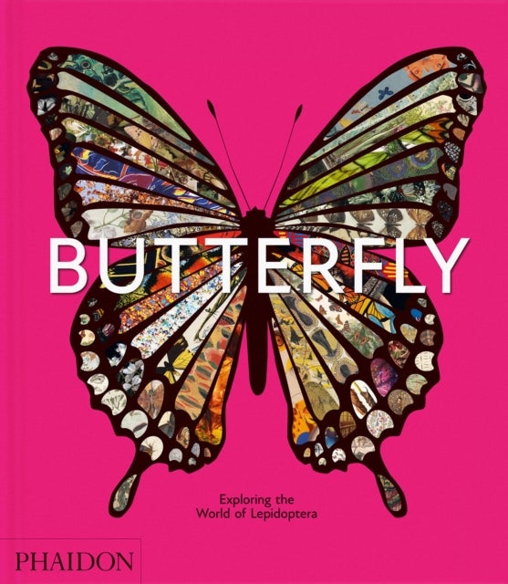 Butterfly - Exploring the World of Lepidoptera