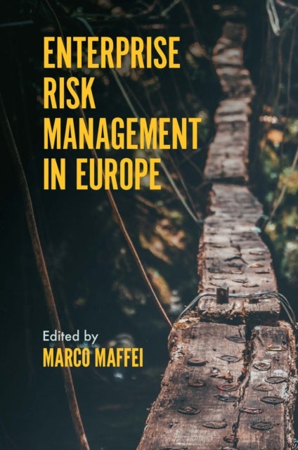Bilde av Enterprise Risk Management In Europe
