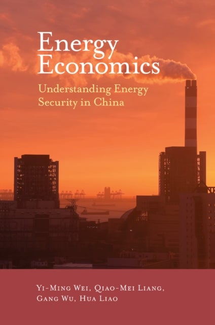 Energy Economics - Understanding Energy Security in China