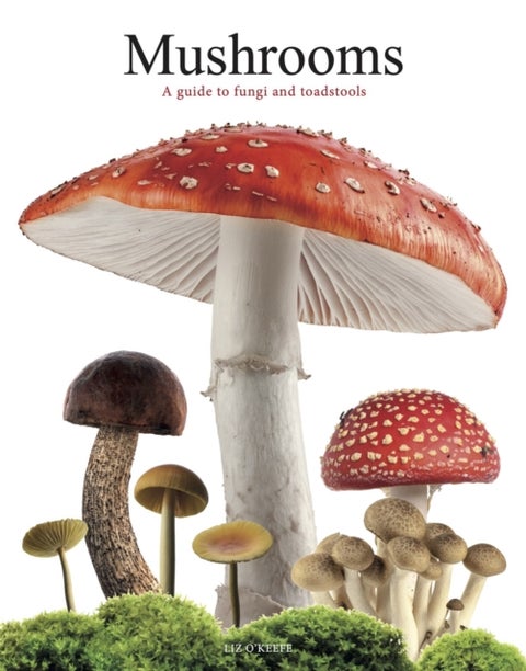 Mushrooms - A guide to fungi and toadstools
