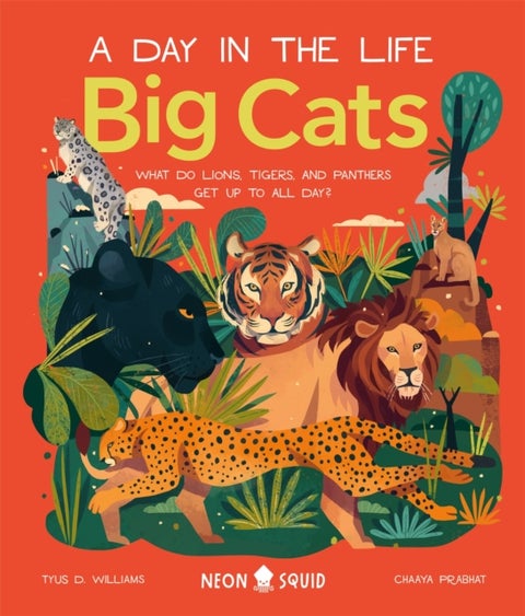 Big Cats (A Day in the Life) - What Do Lions, Tigers and Panthers Get up to all day?
