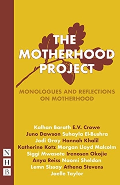 The Motherhood Project - Monologues and Reflections on Motherhood