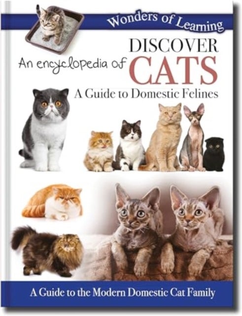 Discover an Encyclopedia of Cats - A Guide to Domestic Felines