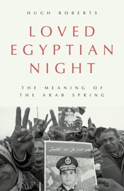 Loved Egyptian Night - The Meaning of the Arab Spring