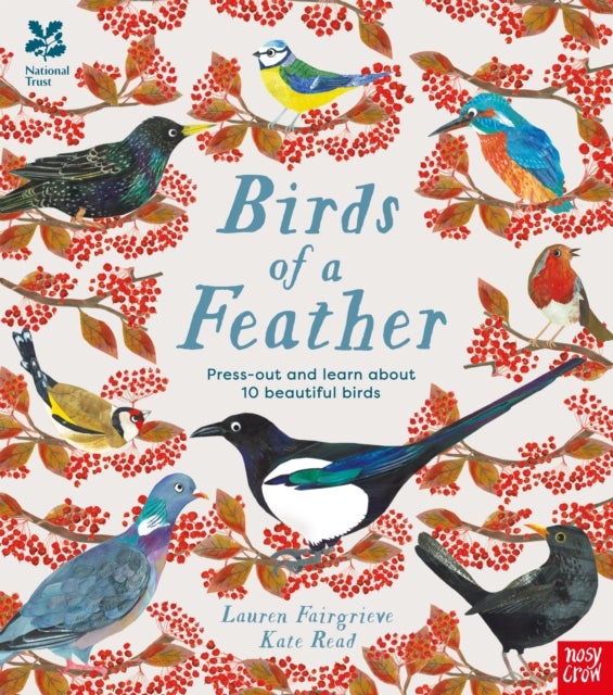 Bilde av National Trust: Birds Of A Feather: Press Out And Learn About 10 Beautiful Birds Av Lauren (junior Editor) Fairgrieve
