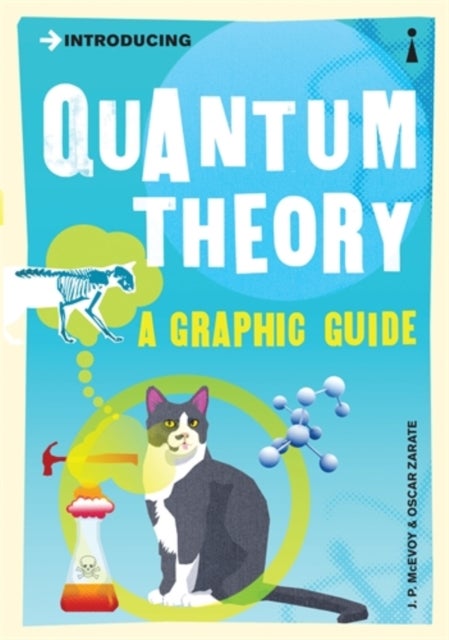 Introducing Quantum Theory - A Graphic Guide