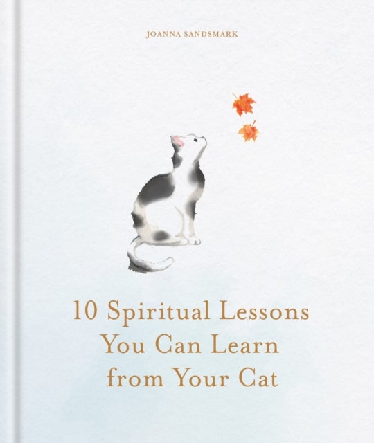 10 Spiritual Lessons You Can Learn from Your Cat - Essential Life Lessons We Can Learn From Our Furry Friend