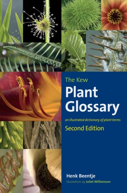 Kew Plant Glossary, The - Second Edition