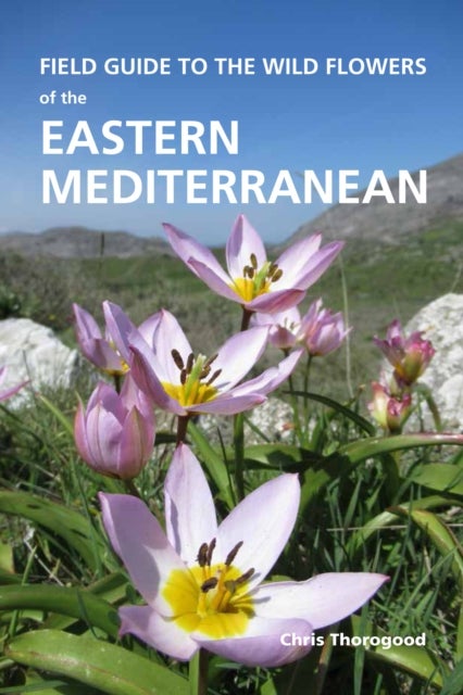 Bilde av Field Guide To The Wild Flowers Of The Eastern Mediterranean Av Chris Thorogood