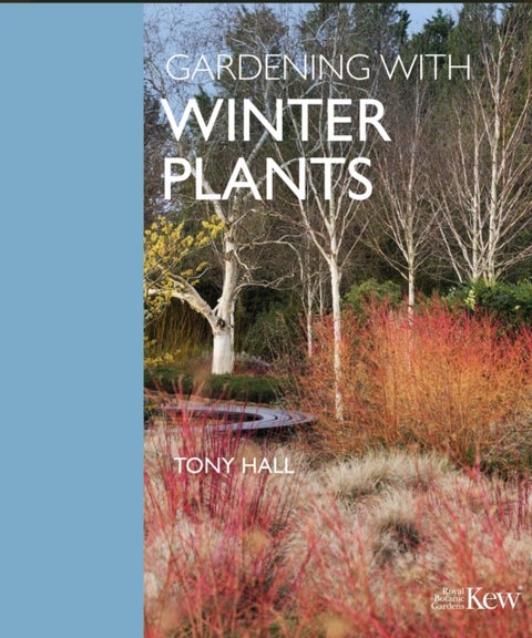 Gardening with Winter Plants