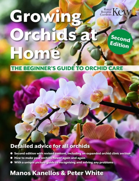Growing Orchids at Home - The Beginner's Guide to Orchid Care