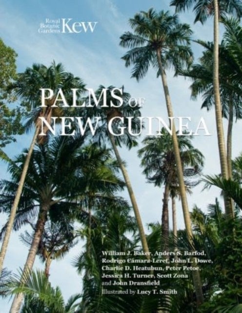 Bilde av Palms Of New Guinea