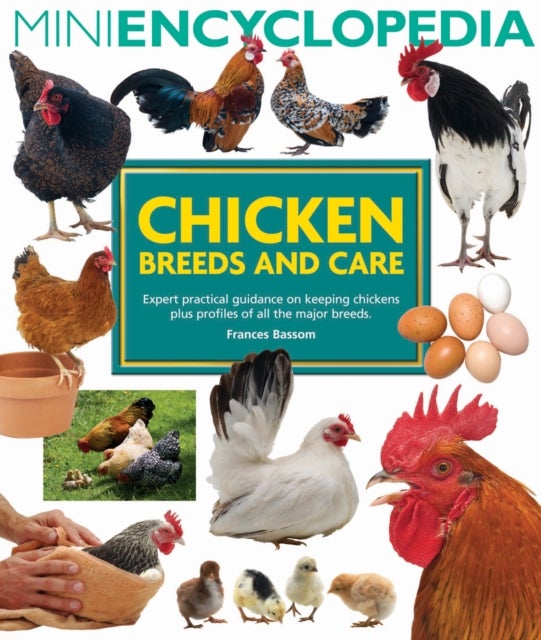 Bilde av Mini Encyclopedia Of Chicken Breeds And Care Av Frances Bassom