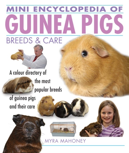 Bilde av Mini Encyclopedia Of Guinea Pigs Breeds And Care Av Myra Mahoney