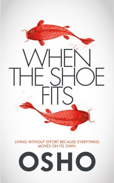 When the Shoe Fits - Stories of the Taoist Mystic Chuang Tzu