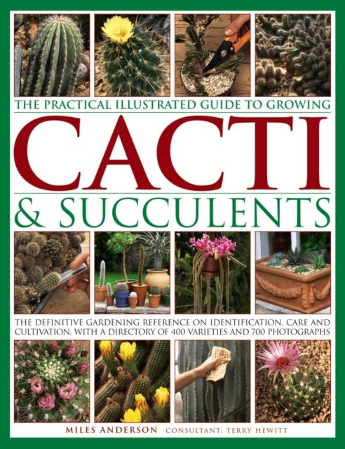 Bilde av Practical Illustrated Guide To Growing Cacti &amp; Succulents Av Miles Anderson