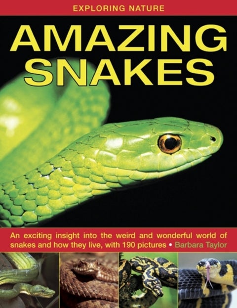 Exploring Nature: Amazing Snakes - an Exciting Insight into the Weird and Wonderful World of Snakes and How They Live, with 190 Picture