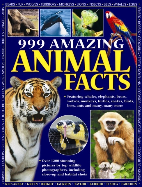Bilde av 999 Amazing Animal Facts Av Armadillo