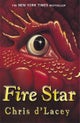 The Last Dragon Chronicles: Fire Star