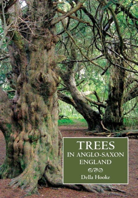 Trees in Anglo-Saxon England - Literature, Lore and Landscape