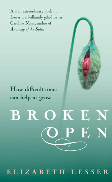 Broken Open - How difficult times can help us grow
