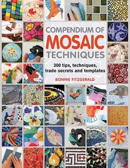 Bilde av Compendium Of Mosaic Techniques Av Bonnie Fitzgerald