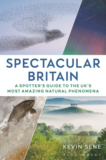 Spectacular Britain - A spotter's guide to the UK¿s most amazing natural phenomena