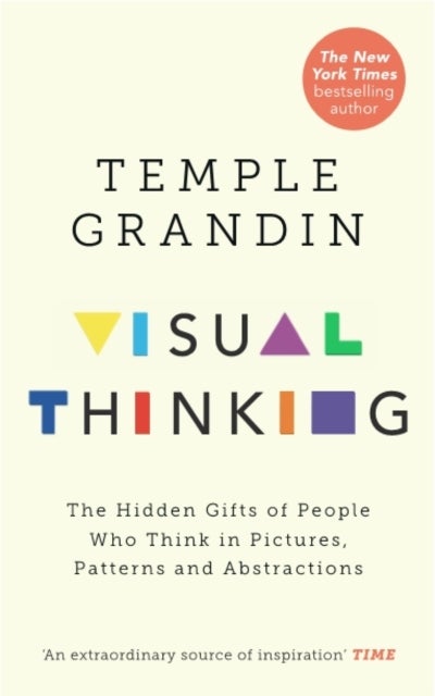 Visual Thinking - The Hidden Gifts of People Who Think in Pictures, Patterns and Abstractions