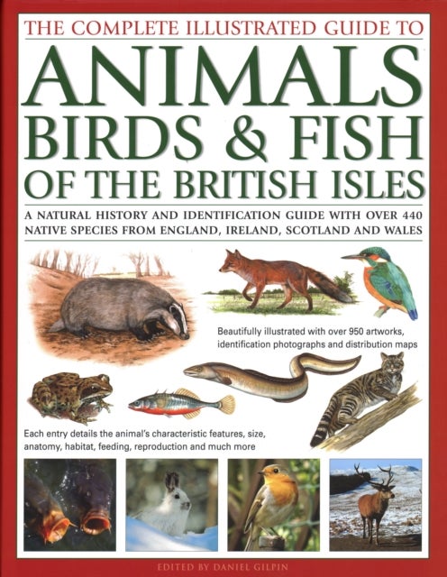 Bilde av The Animals, Birds &amp; Fish Of British Isles, Complete Illustrated Guide To
