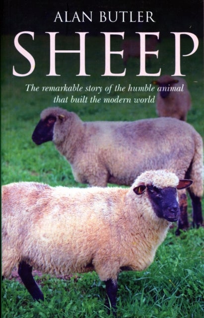Bilde av Sheep ¿ The Remarkable Story Of The Humble Animal That Built The Modern World. Av Alan Butler