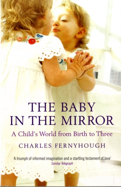 Bilde av The Baby In The Mirror Av Charles Fernyhough