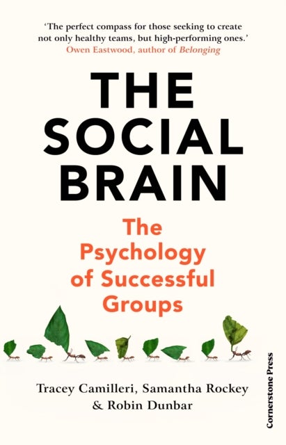 The Social Brain - The Psychology of Successful Groups
