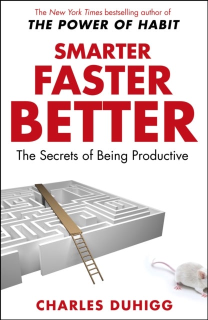 Smarter Faster Better - The Secrets of Being Productive
