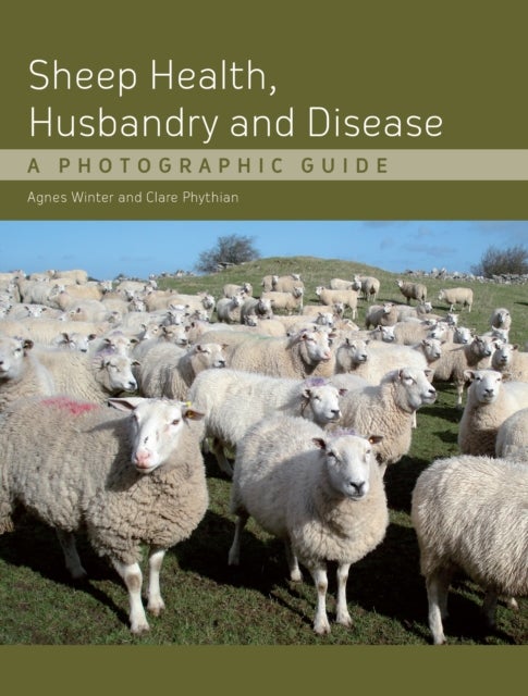 Bilde av Sheep Health, Husbandry And Disease Av Agnes C B.vsc Phd Dshp Mrcvs Winter