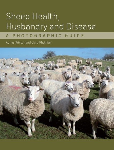 Sheep Health, Husbandry and Disease - A Photographic Guide