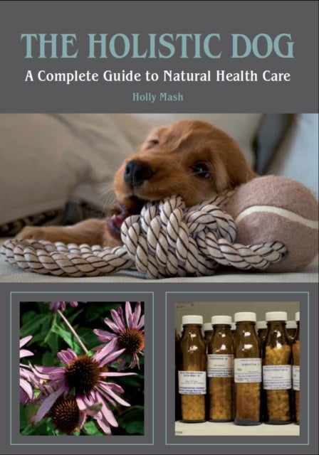 The Holistic Dog - A Complete Guide to Natural Health Care