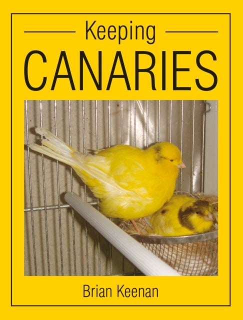 Bilde av Keeping Canaries Av Brian Keenan