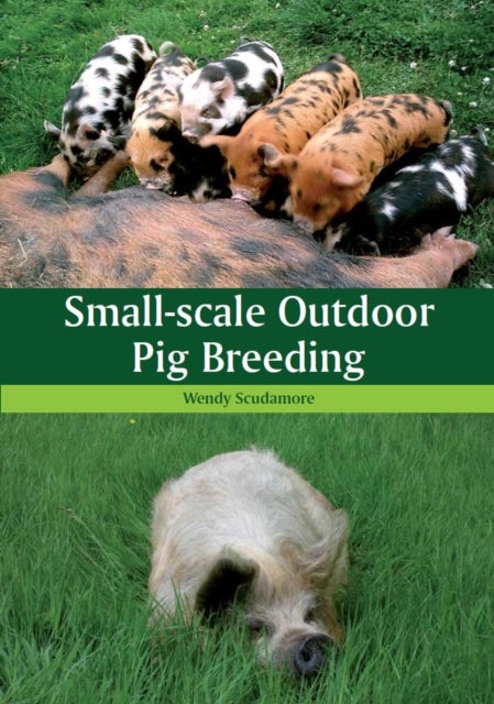 Bilde av Small-scale Outdoor Pig Breeding Av Wendy Scudamore