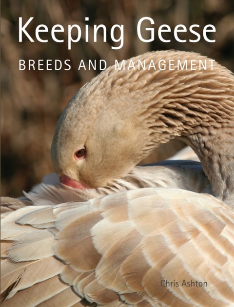 Keeping Geese - Breeds and Management
