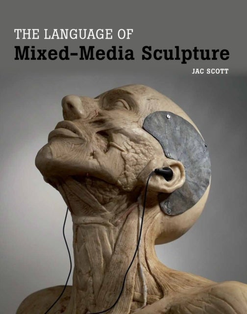 Bilde av The Language Of Mixed-media Sculpture Av Jac Scott
