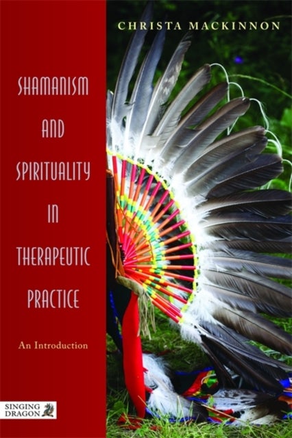 Shamanism and Spirituality in Therapeutic Practice - An Introduction