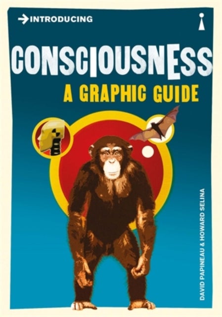 Introducing Consciousness - A Graphic Guide
