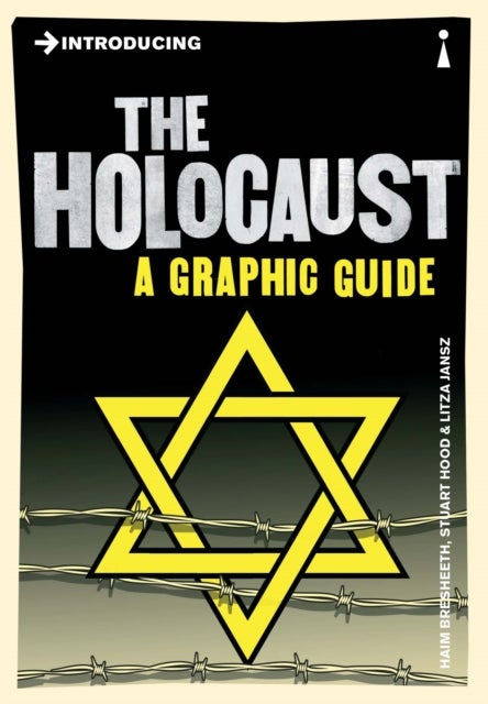 Introducing the Holocaust - A Graphic Guide