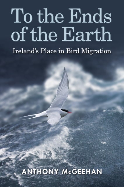 To the Ends of the Earth - Ireland's Place in Bird Migration