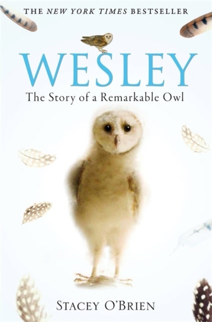 Wesley - The Story of a Remarkable Owl