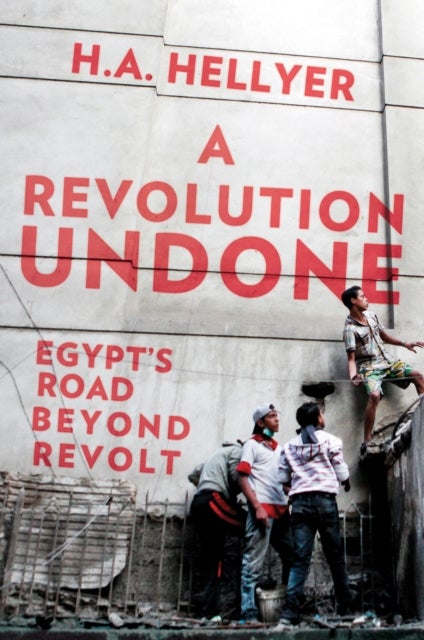 A Revolution Undone - Egypt's Road Beyond Revolt